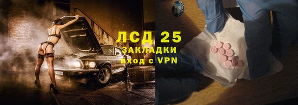 хмурый Вяземский