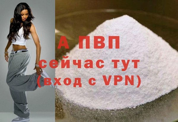 хмурый Вяземский
