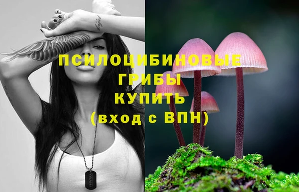 хмурый Вяземский