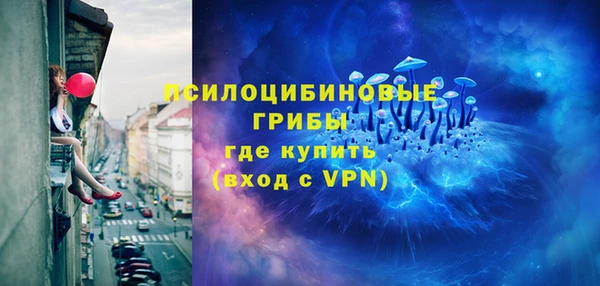 хмурый Вяземский