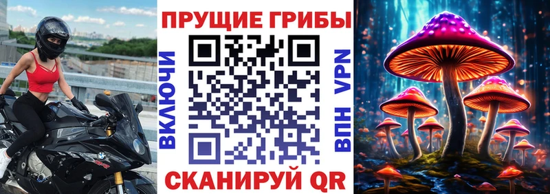 Псилоцибиновые грибы ЛСД Саранск